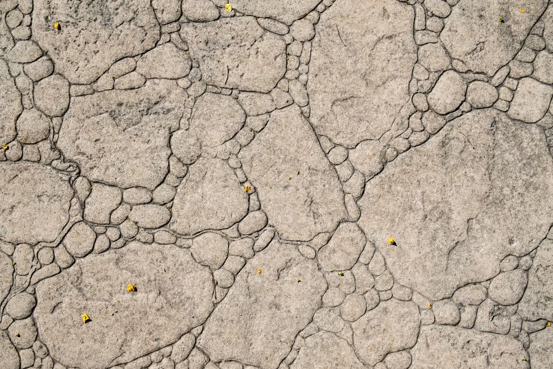 Decorative Concrete Repair in Livonia, MI